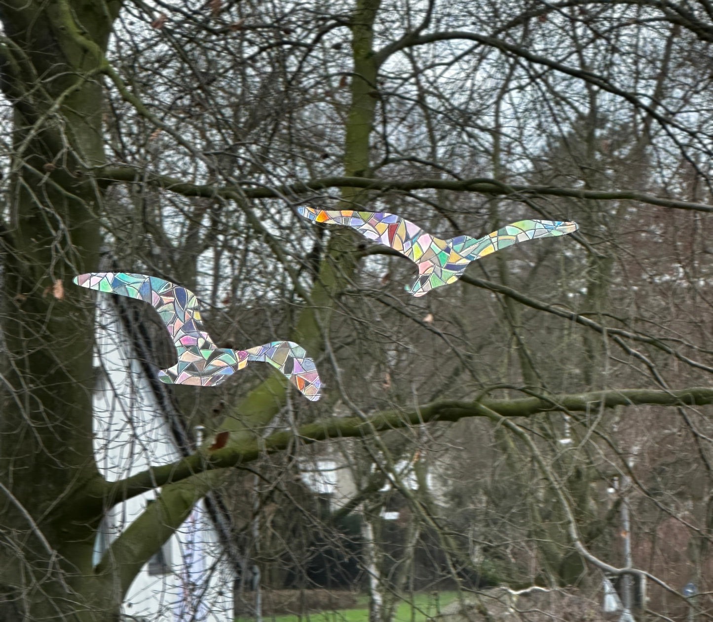 Möwen / Vogel Regenbogen Fenstersticker - Fenstersticker | Suncatcher Bird